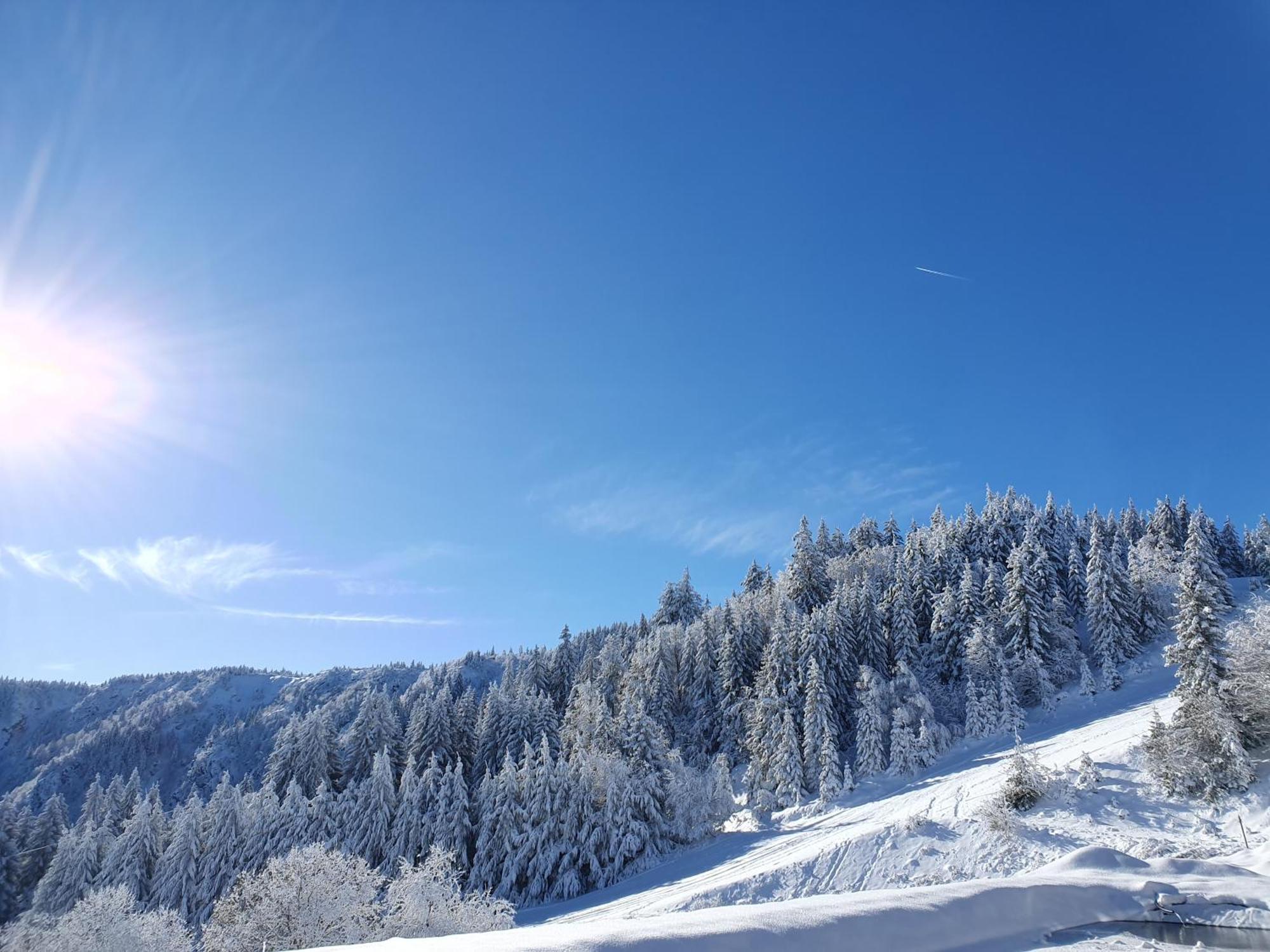 Agreable 3 Pieces Au Lac Blanc Orbey Dış mekan fotoğraf